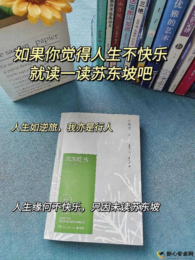 及时行乐 HPO：享受当下，释放压力